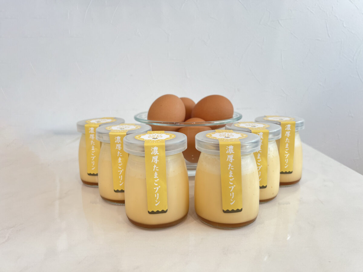 プリン6個セット