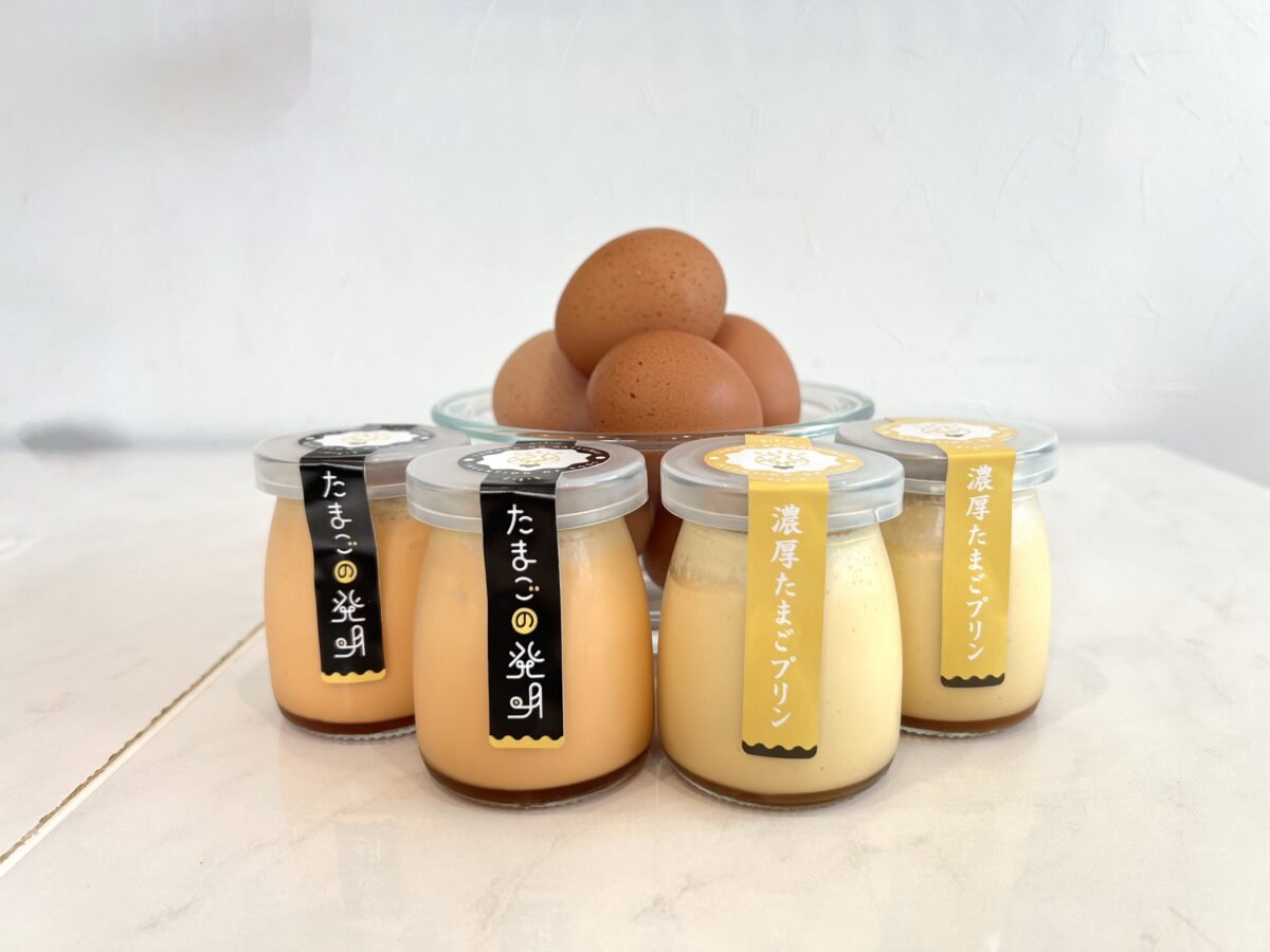 発明プリンセット